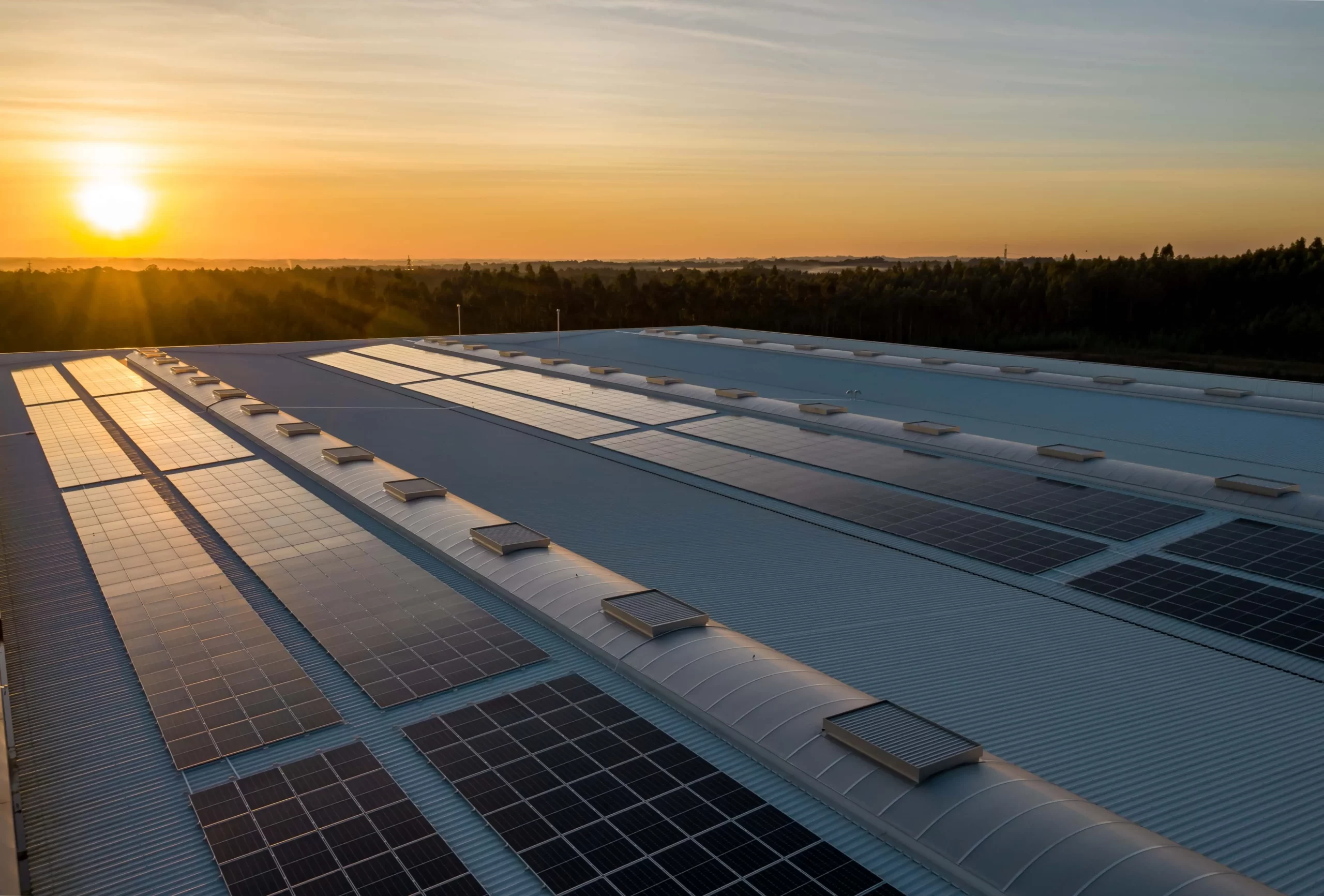 Solar panels in sunny landscape